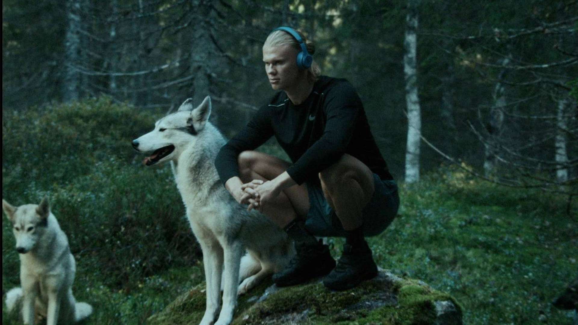 稳定或者扭 稳定或者扭